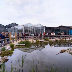 Etang de sensibilisation pour notre tortue indigène Suisse