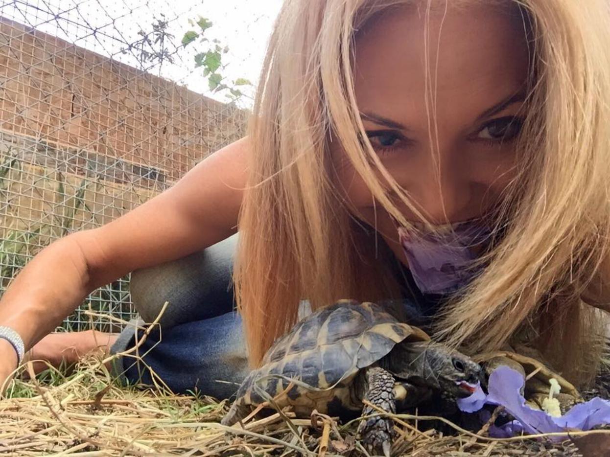 Lolita Morena a du travail avec nos tortues ;-)
