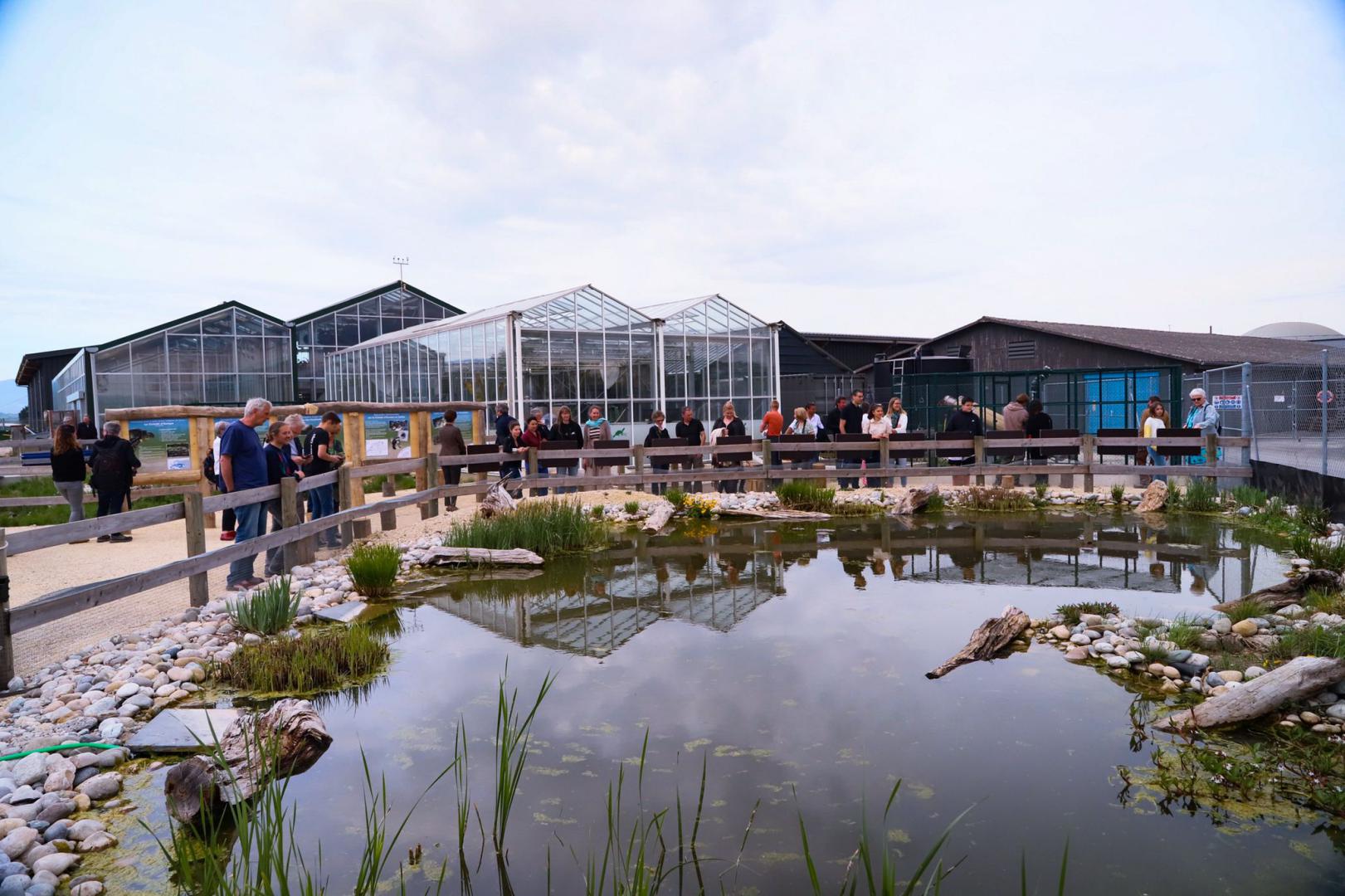 Etang de sensibilisation pour notre tortue indigène Suisse